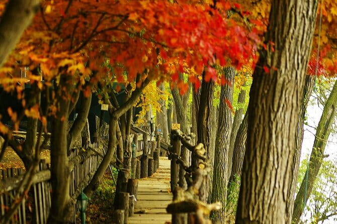 Seoraksan and Cherry Blossom Lake 1 day trip from Seoul - What $67 really gets you