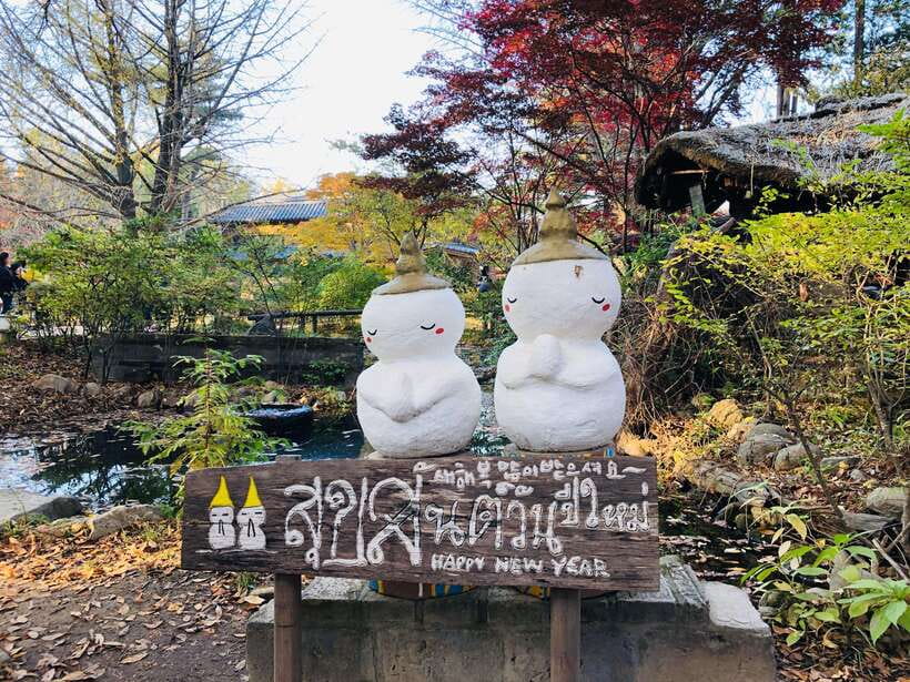Seoul: Alpaca, Nami, Morning Calm or Eobi (+Rail Bike) - What the $90 price really buys you