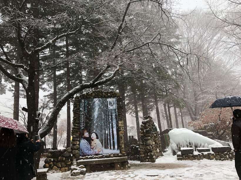 Seoul: Alpaca, Nami, Morning Calm or Eobi (+Rail Bike) - Who should book this outing