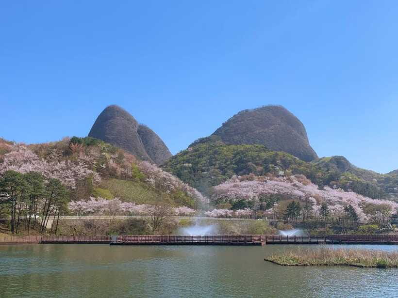 Seoul: Maisan Cherry Blossom and Jeonju Hanok Day Tour - What the $71 price really covers
