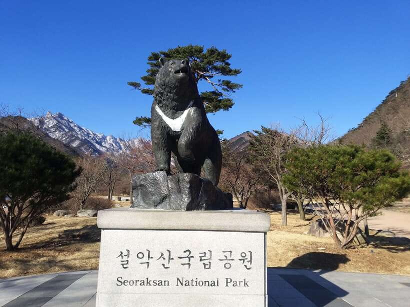 Seoul: Mt.Seorak, Nami Island & Korean Garden, No Shopping - Key points at a glance