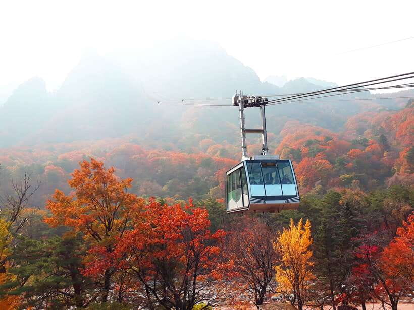 Seoul: Mt.Seorak, Nami Island & Korean Garden, No Shopping - Shinheungsa Temple and the mountain setting
