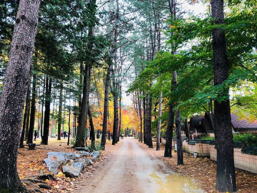 Seoul: Mt.Seorak, Nami Island & Korean Garden, No Shopping - Lunch and the practical middle of the day