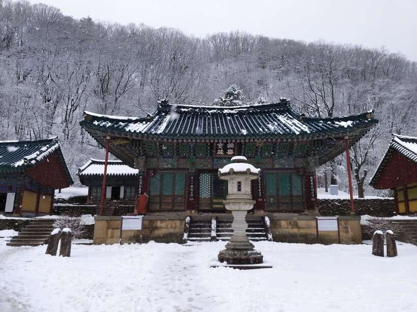 Seoul: Mt.Seorak, Nami Island & Korean Garden, No Shopping - The early run to Seoraksan