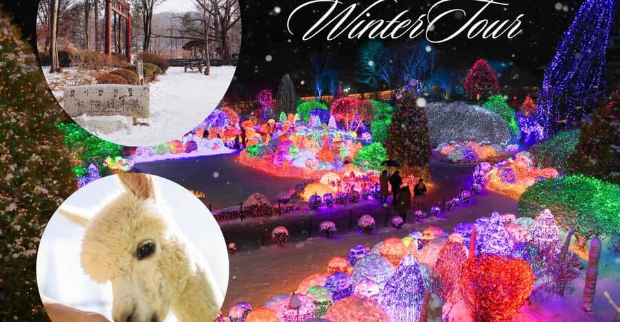 Seoul: Nami and K-Garden with Optional Alpaca Winter Tour - Key points to know before booking