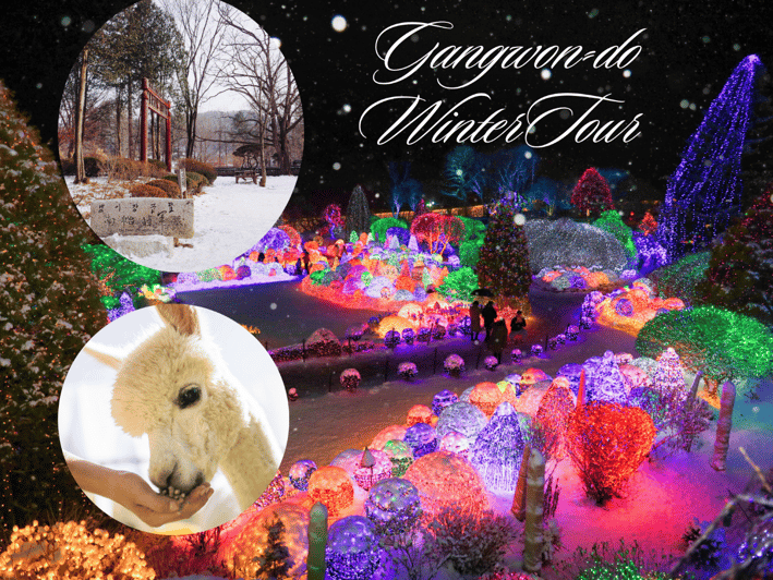 Seoul: Nami and K-Garden with Optional Alpaca Winter Tour - Eobi Valley and its winter ice wall