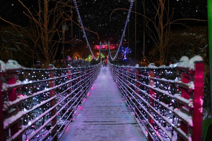 Seoul: Nami and Petite France Tour with Optional K-Garden - Pinocchio and Da Vinci Italian Village