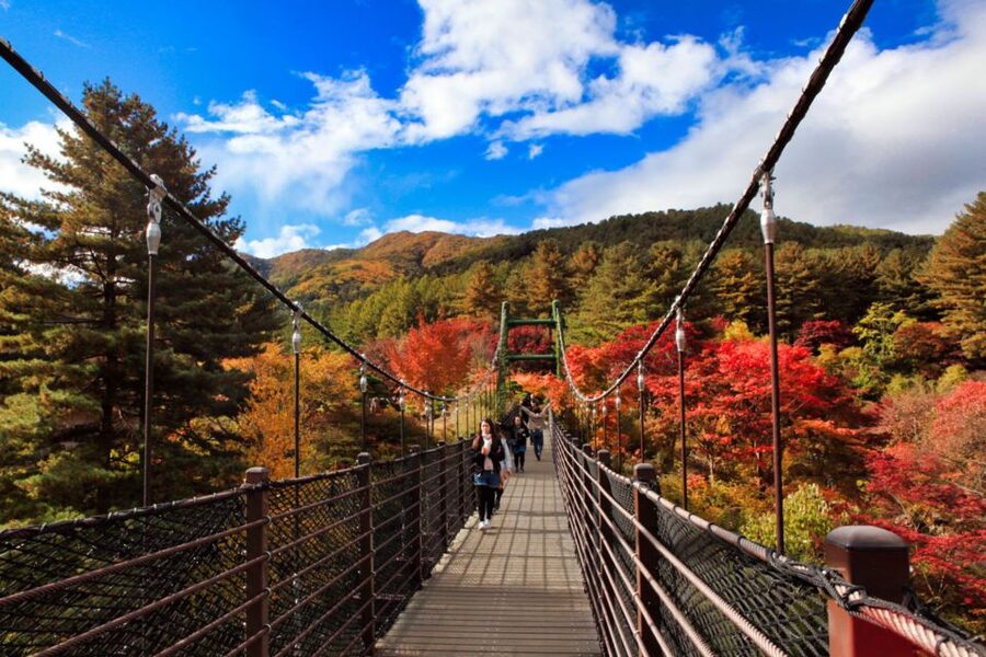 Seoul: Nami and Petite France Tour with Optional K-Garden - A 10-hour schedule and the cost of convenience