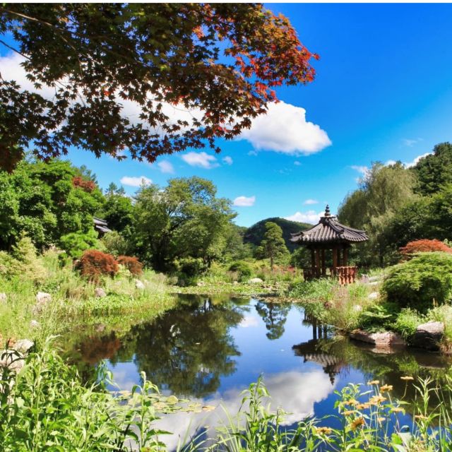 Seoul: Nami and Petite France Tour with Optional K-Garden - Lunch, snacks, and a practical food plan