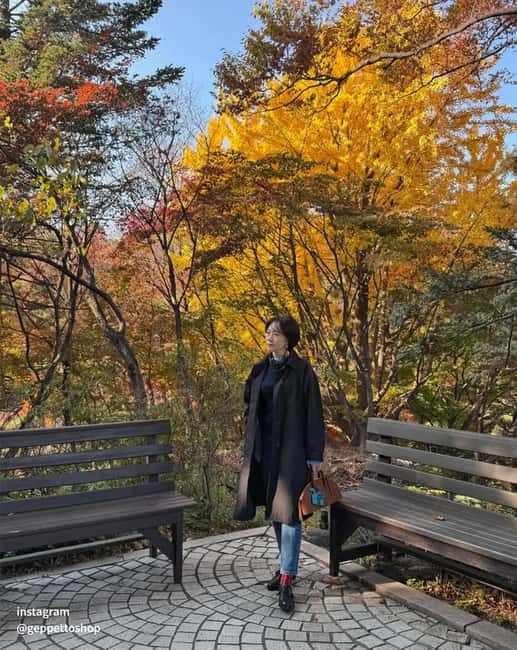 Seoul: Nami Island, Alpaca World, Morning Calm Garden - FAQ