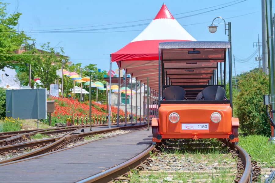 Seoul: Nami Island and Garden of Morning Calm opt Railbike - Should you book it?