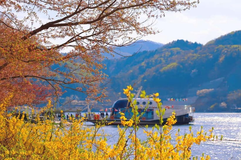 Seoul: Nami Island and Garden of Morning Calm opt Railbike - Garden of Morning Calm: the quiet start or a glowing finish