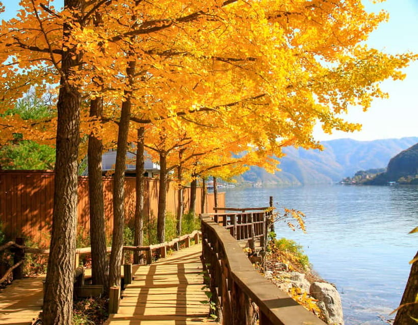 Seoul: Nami Island and Garden of Morning Calm opt Railbike - Gangchon Railbike: the most active part