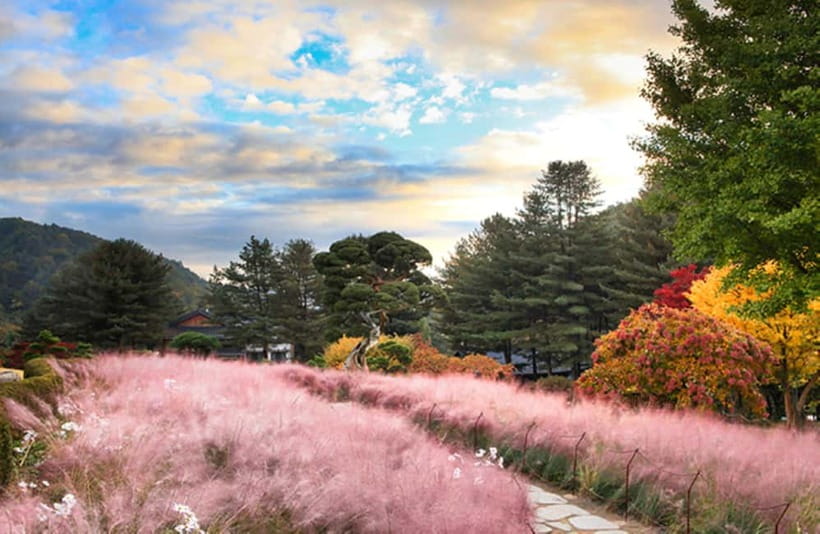 Seoul: Nami Island and Garden of Morning Calm opt Railbike - Seasons, weather, and what to pack