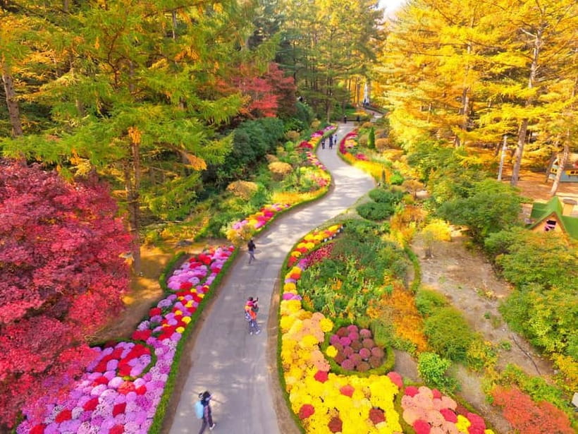 Seoul: Nami Island and Garden of Morning Calm opt Railbike - Who should book this tour