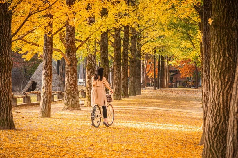 Seoul: Nami Island and Garden of Morning Calm opt Railbike - The ride from Seoul and the shape of the day