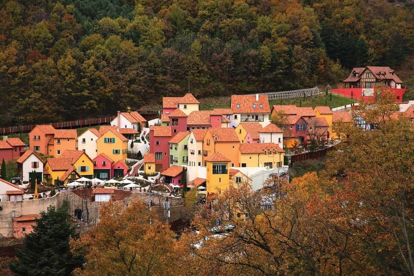 Seoul: Nami Island, Garden and Petite France (opt. Railbike) - Key points to know before you book