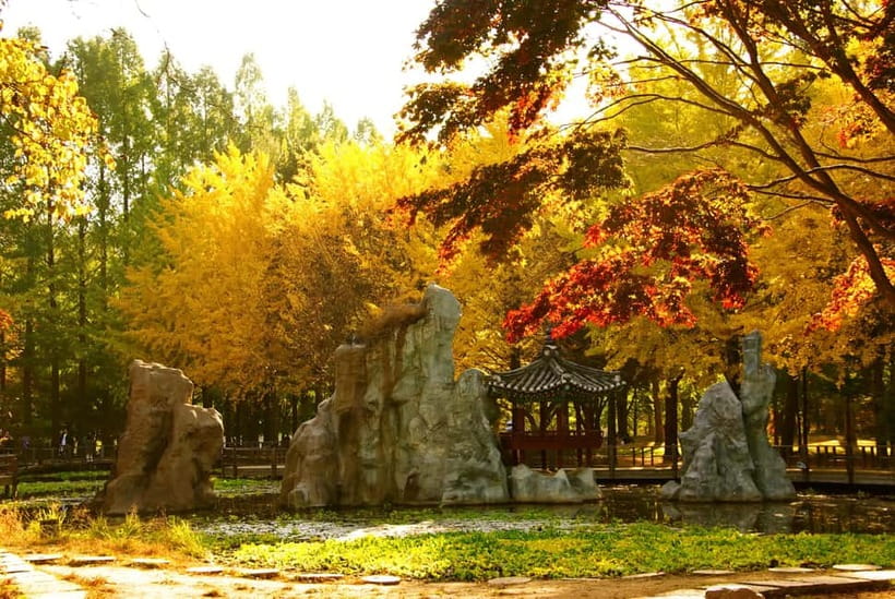 Seoul: Nami Island, Garden and Petite France (opt. Railbike) - Gangchon Railbike adds movement and countryside views