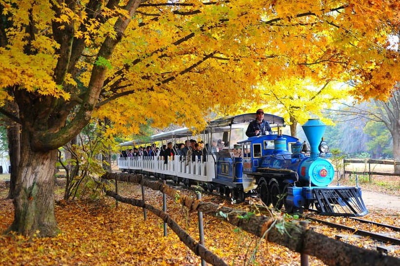 Seoul: Nami, Petite France, Morning Garden (+Healing Park) - Is $69 a fair price?