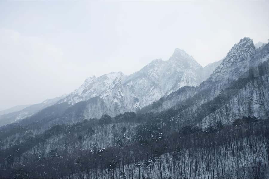 Seoul: Nami, Rail Bike, Morning Garden (+Healing Park) - Key points to know before booking
