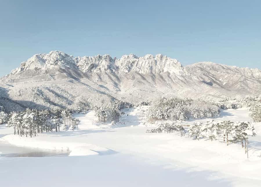Seoul: Nami, Rail Bike, Morning Garden (+Healing Park) - Starting from Myeongdong, Dongdaemun, or Hongik University