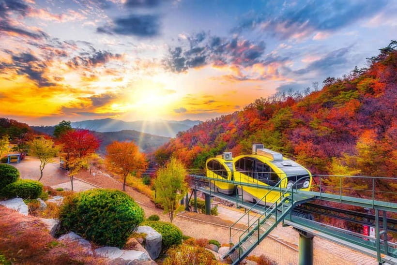 Seoul: Pocheon Art Valley, Garden and Fruit Picking Day Tour - Key points at a glance