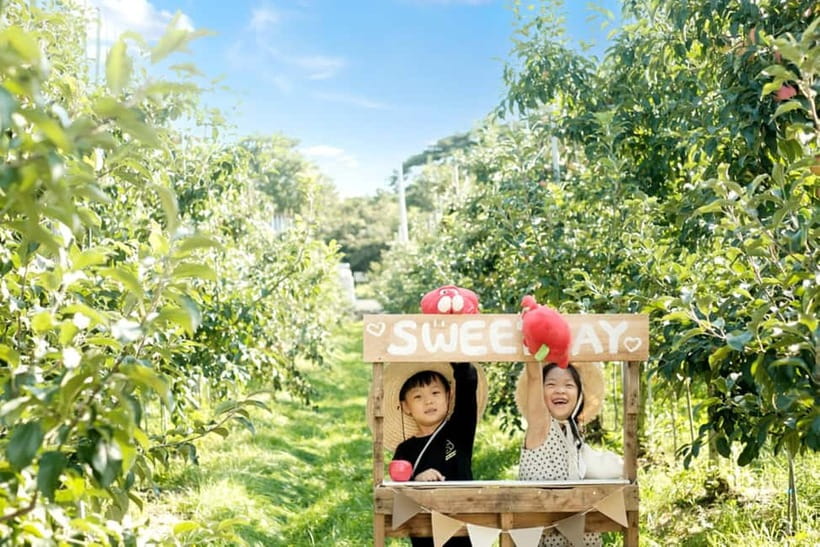 Seoul: Pocheon Art Valley, Garden and Fruit Picking Day Tour - Pocheon Art Valley and its quarry lake