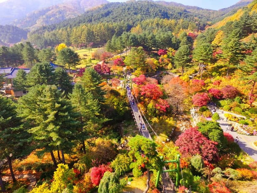 Seoul: Pocheon Art Valley, Garden and Fruit Picking Day Tour - Who should book this Pocheon tour?