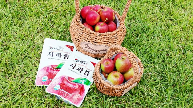 Seoul: Pocheon Art Valley, Garden and Fruit Picking Day Tour - Garden of Morning Calm: two hours among Korea’s garden paths