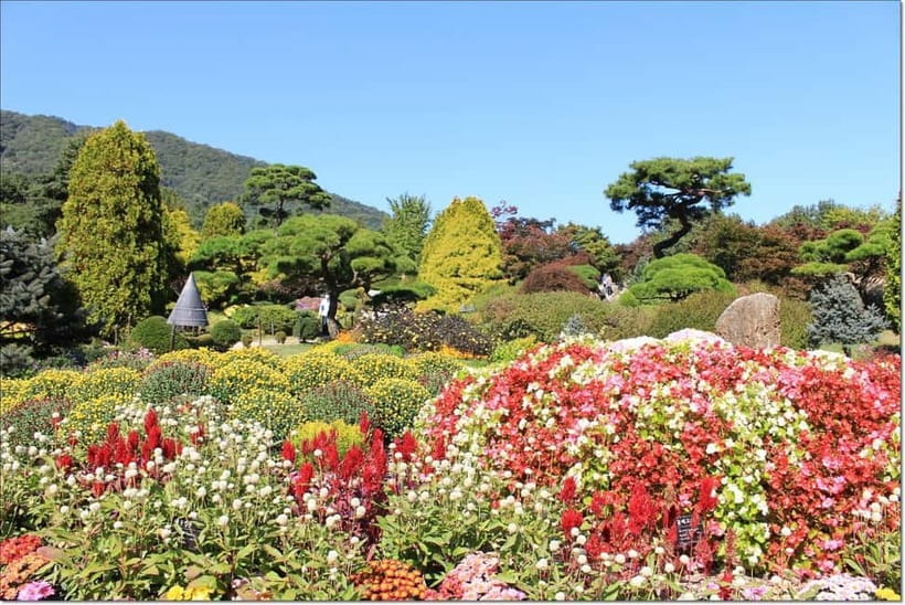 Seoul: Private Tour to Nami Island, Garden, Petite France - Key Points to Know Before You Book