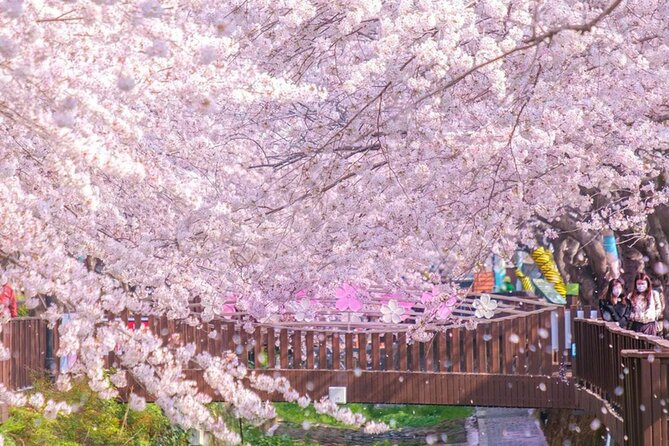 Seoul to Jinhae Cherry Blossom Festival (With Busan Drop-off) - Six hours to explore Jinhae