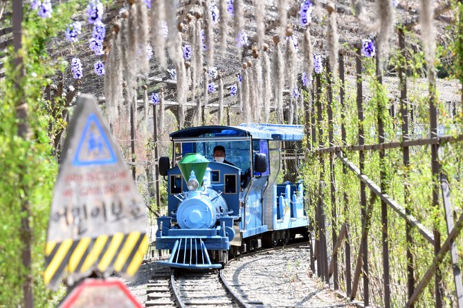 Seoul Vicinity 5 in 1: Nami Island, Garden of Morning Calm & More - Nami Island gives you the day’s breathing room