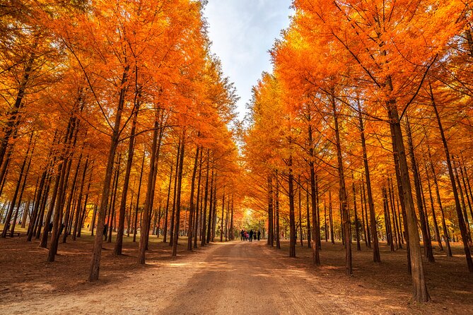 Seoul Vicinity 5 in 1: Nami Island, Garden of Morning Calm & More - The van, guide, and schedule shape the experience