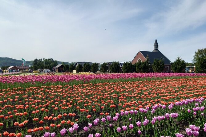 [Shibazakura / Tulip] Going by private car, Shibazakura Takinoue Park and Kamiyubetsu Tulip Park (from Sapporo) - What the private car adds to the day