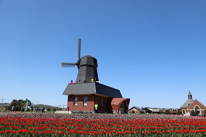 [Shibazakura / Tulip] Going by private car, Shibazakura Takinoue Park and Kamiyubetsu Tulip Park (from Sapporo) - Price, admissions, and the real value
