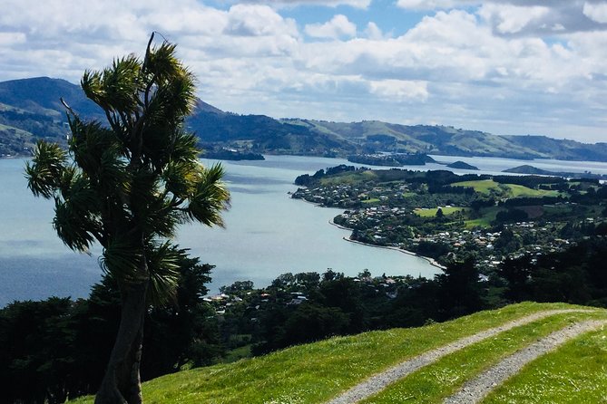 Shore Excursion: Dunedin City, Otago Peninsula, Castle Gardens & Olveston Tour - A smart way to see Dunedin from Port Chalmers