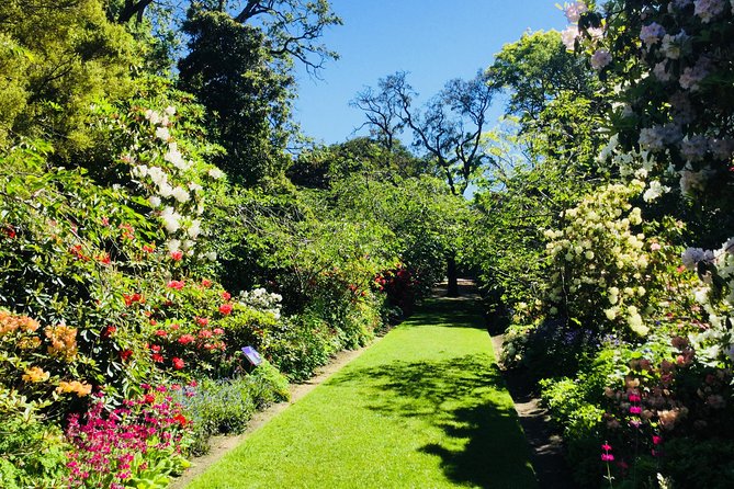 Shore Excursion: Dunedin City, Otago Peninsula, Castle Gardens & Olveston Tour - University streets and the Octagon add local character