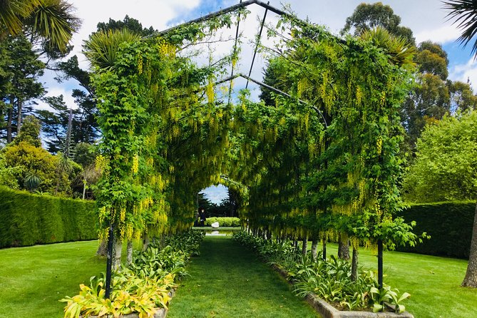 Shore Excursion: Dunedin City, Otago Peninsula, Castle Gardens & Olveston Tour - The Otago Peninsula drive is part of the attraction