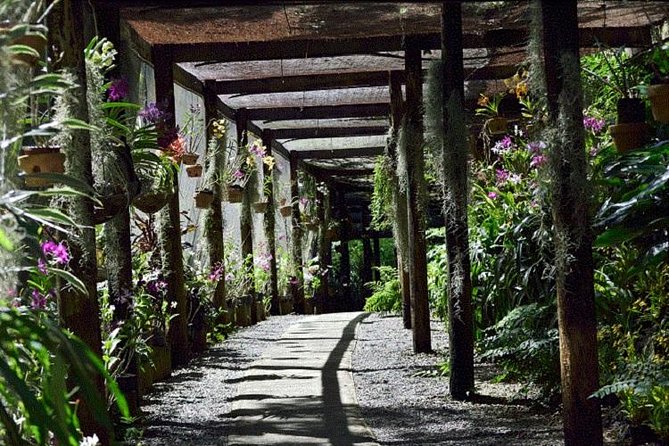 Shore Excursion-Nadi Mudpools,Sleeping Giants Gardens,Markets, Temple & Shopping - A half-day route from market stalls to mud pools