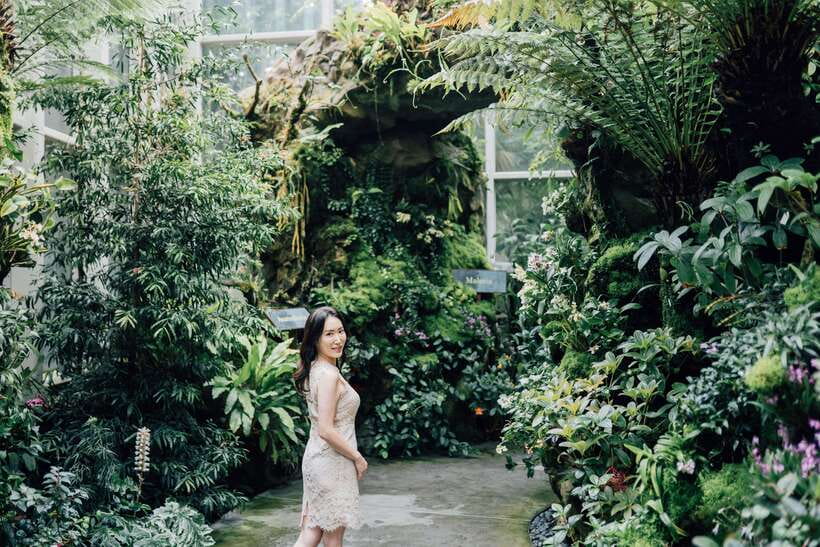Singapore: Botanical Gardens Entry & Photography Session - Walking through Singapore Botanic Gardens