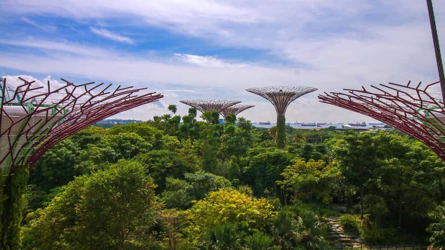 Singapore: Disney Garden of Wonder at Floral Fantasy - Cloud Forest maintenance dates to watch