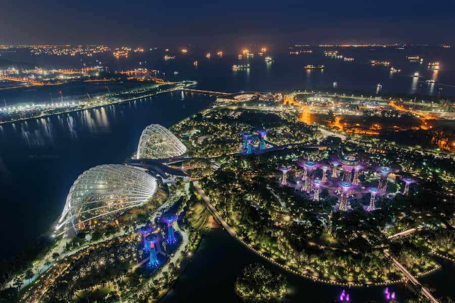 Singapore: Disney Garden of Wonder at Floral Fantasy - Who should book this experience?