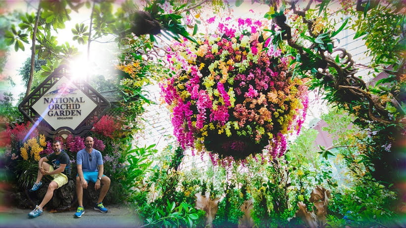 Singapore: National Orchid Garden Admission - What you learn beyond the flowers
