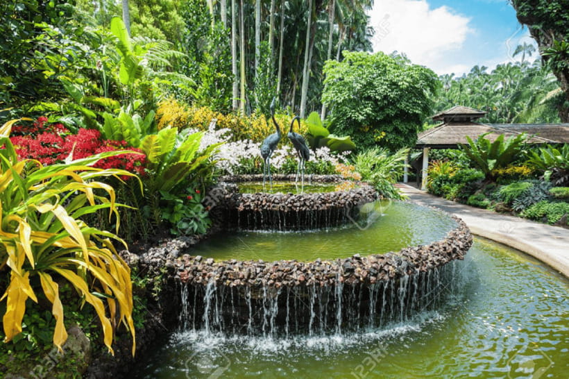 Singapore: National Orchid Garden Admission - The practical value of a $7 ticket
