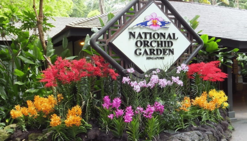 Singapore: National Orchid Garden Admission - Should you book the National Orchid Garden?