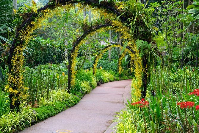 Singapore: National Orchid Garden Admission Ticket - Price, senior savings, and what the ticket buys