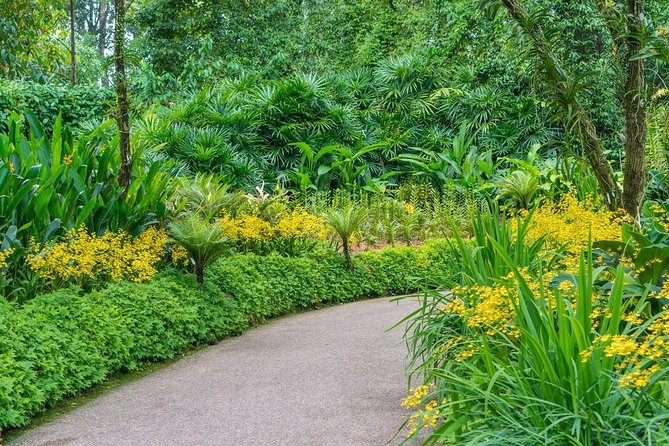 Singapore: National Orchid Garden Admission Ticket - Who will enjoy this garden most
