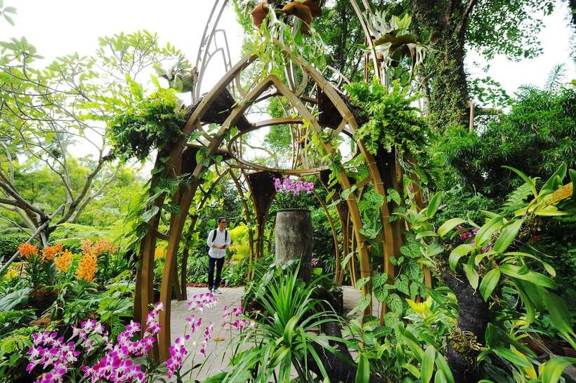 Singapore: National Orchid Garden Entry Tickets - Key points to know before you go