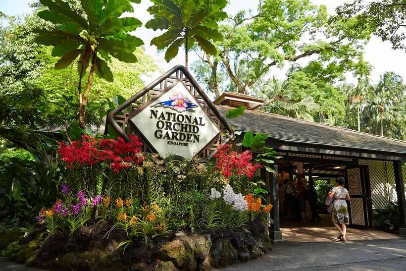 Singapore: National Orchid Garden Entry Tickets - Why the National Orchid Garden is worth your time