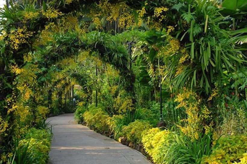 Singapore: National Orchid Garden Entry Tickets - What to do after the orchid displays